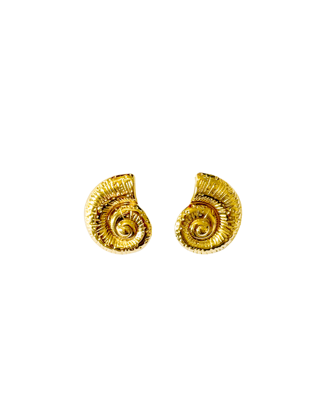 Shell Earrings