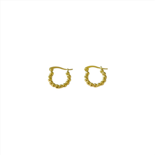 Small Hoop Earrings